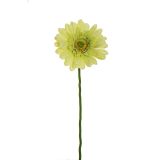 UMETNO CVETJE EVERGREENS GERBERA RUMENO ZELENA