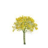 UMETNO CVETJE EVERGREENS GYPSOPHILLA V ŠOPKU RUMENA 31 CM
