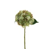 UMETNO CVETJE EVERGREENS HORTENZIJA JULIET ZELENA/VIJOLA 50 CM