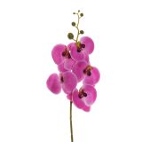 UMETNO CVETJE EVERGREENS ORHIDEJA FUKSIJA