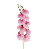 UMETNO CVETJE EVERGREENS ORHIDEJA NA STEBLU ROZA BARVA CVETOV 97 CM