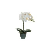 UMETNO CVETJE EVERGREENS ORHIDEJA V LONČKU BELA 40 CM