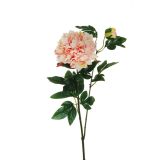 UMETNO CVETJE EVERGREENS POTONIKA NA STEBLU FUKSIJA+MIX 69 CM
