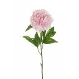 UMETNO CVETJE EVERGREENS POTONIKA NA STEBLU SVETLO ROZA 76 CM