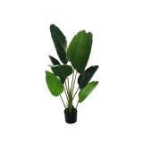 UMETNO CVETJE EVERGREENS STRELICIJA V LONČKU ZELENA 120 CM