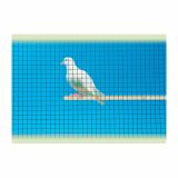 VARJENA OGRAJNA MREŽA DIRICKX ARAVIS 0.8X10X1000 MM ROLA=25M ZN