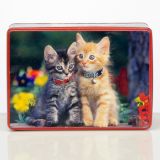 VEČNAMENSKA DOZA 20.6X15.4X8.3 CM MUCE KVADRATNA