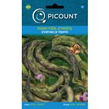 STROČNICA VILMORIN VISOKI FIŽOL STORTINO DI TRENTO (MANGIATUTTO)