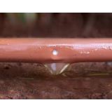 VITAVIA RWK50 REZERVOAR Z DEŽEVNICO