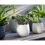 KERAMIČNI NOTRANJI LONEC VITORIA 14 CM BEL