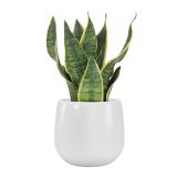 KERAMIČNI NOTRANJI LONEC VITORIA 14 CM BEL