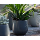 KERAMIČNI NOTRANJI LONEC VITORIA 14 CM TEMNO SIV