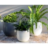 KERAMIČNI NOTRANJI LONEC VITORIA 16 CM BEL