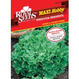 LISTNA ZELENJAVA ROYAL SEEDS VREČICA ROYAL MAXI HOBBY 175 ENDIVJA ESKARIOL