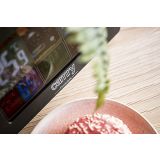 VREMENSKA POSTAJA CAMRY CR1174 VREMENSKA POSTAJA