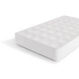 VRTNARSKI PRIPOMOČEK SETVENI PLATO 40 LUKENJ STIROPOR