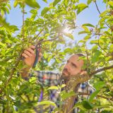 VRTNE ŠKARJE GARDENA PREMIUMCUT PRO FLEX