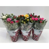 VRTNICA BOŽIČNA Z BLEŠČICAMI 10.5