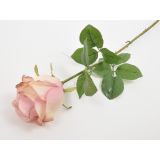 UMETNO CVETJE VRTNICA ENOJNA 68CM ANTIČNA ROZA