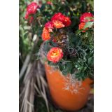 VRTNICA GRMASTA EASY ELEGANCE L19CM