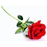 UMETNO CVETJE VRTNICA VEJICA 50CM RDEČA