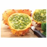 VRTNINA DOBRO & ZDRAVO BUČA KIWANO