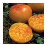 PLODOVKE DOBRO & ZDRAVO CEPLJEN PARADIŽNIK ANANAS