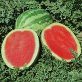 PLODOVKE DOBRO & ZDRAVO CEPLJENA LUBENICA CRIMSON SWEET F1