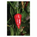 PLODOVKE DOBRO & ZDRAVO ČILI RED HELL