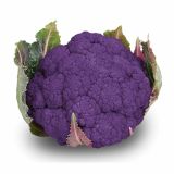 VRTNINA DOBRO & ZDRAVO CVETAČA GRAFFITI F1