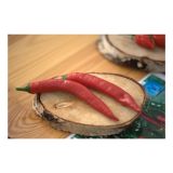 PLODOVKE VOLMARY CAPSICIM ANNUM 10.5 CM FIREFLAME F1