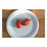 PLODOVKE VOLMARY CEPLJEN PARADIŽNIK RED