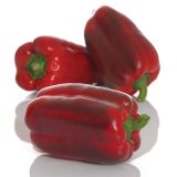 VRTNINA VOLMARY CEPLJENA JUMBO PAPRIKA SIMETO