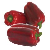 PLODOVKE VOLMARY CEPLJENA JUMBO PAPRIKA TORELUS RDEČA