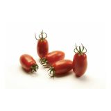 PLODOVKE VOLMARY CEPLJENI PARADIŽNIK CAPRESE F1 LONEC 12 CM