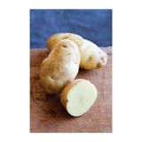 VRTNINA VOLMARY KROMPIR