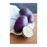 VRTNINA VOLMARY KROMPIR