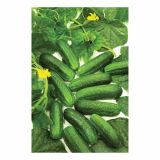 PLODOVKE VOLMARY KUMARE ZA VLAGANJE DIAMANT F1