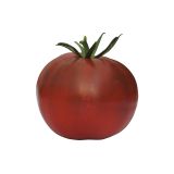 PLODOVKE VOLMARY PARADIŽNIK KAKAO F1 12 CM