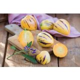 ZELENJAVNA SADIKA VOLMARY PEPINO COPA