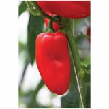 PLODOVKE VOLMARY SNACK PAPRIKA LUBEGA MINI RED