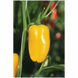 PLODOVKE VOLMARY SNACK PAPRIKA LUBEGA MINI YELLOW