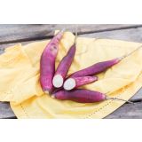 ZELENJAVNA SADIKA VOLMARY YAKON