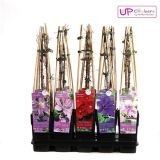 VZPENJALKA SROBOT MIX L15