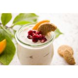 KUHINJSKI APARAT ARIETE YOGURELLA 617 ZA JOGURT