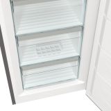 ZAMRZOVALNA OMARA GORENJE FN619EAXL6