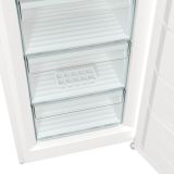 ZAMRZOVALNA OMARA GORENJE FN619FEW6