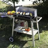 ŽAR NA OGLJE LIVOO DOC244