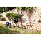 ŽAR NA OGLJE NAPOLEON NK22K-LEG-3