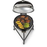 ŽAR NA OGLJE WEBER SUMMIT KAMADO E6